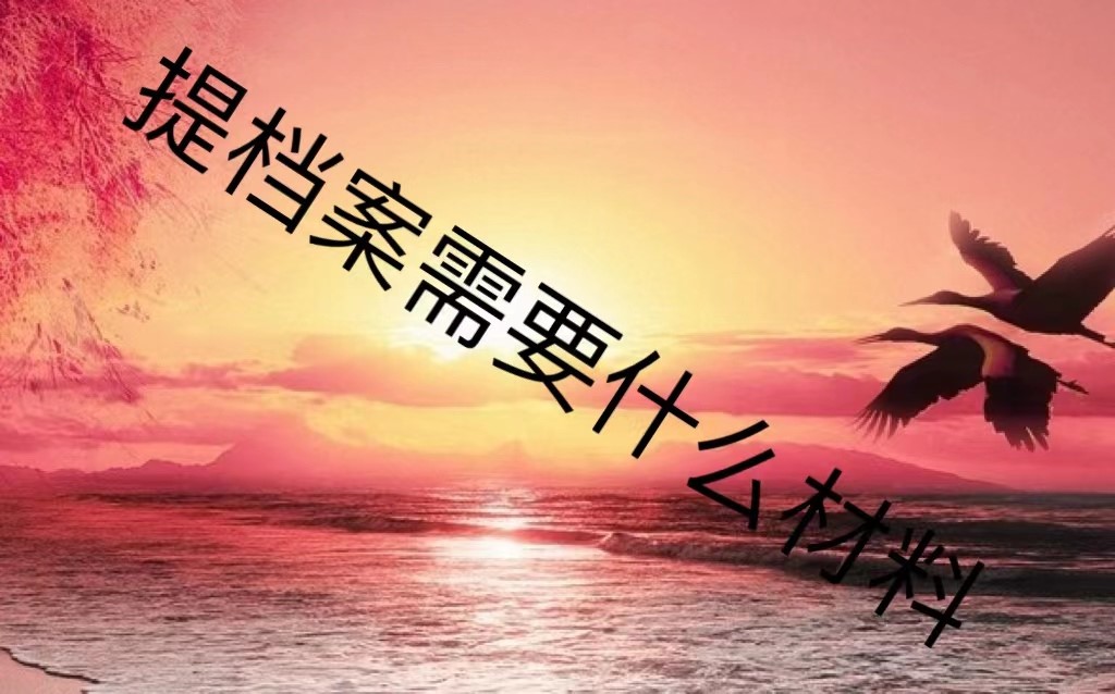 提档案需要什么材料