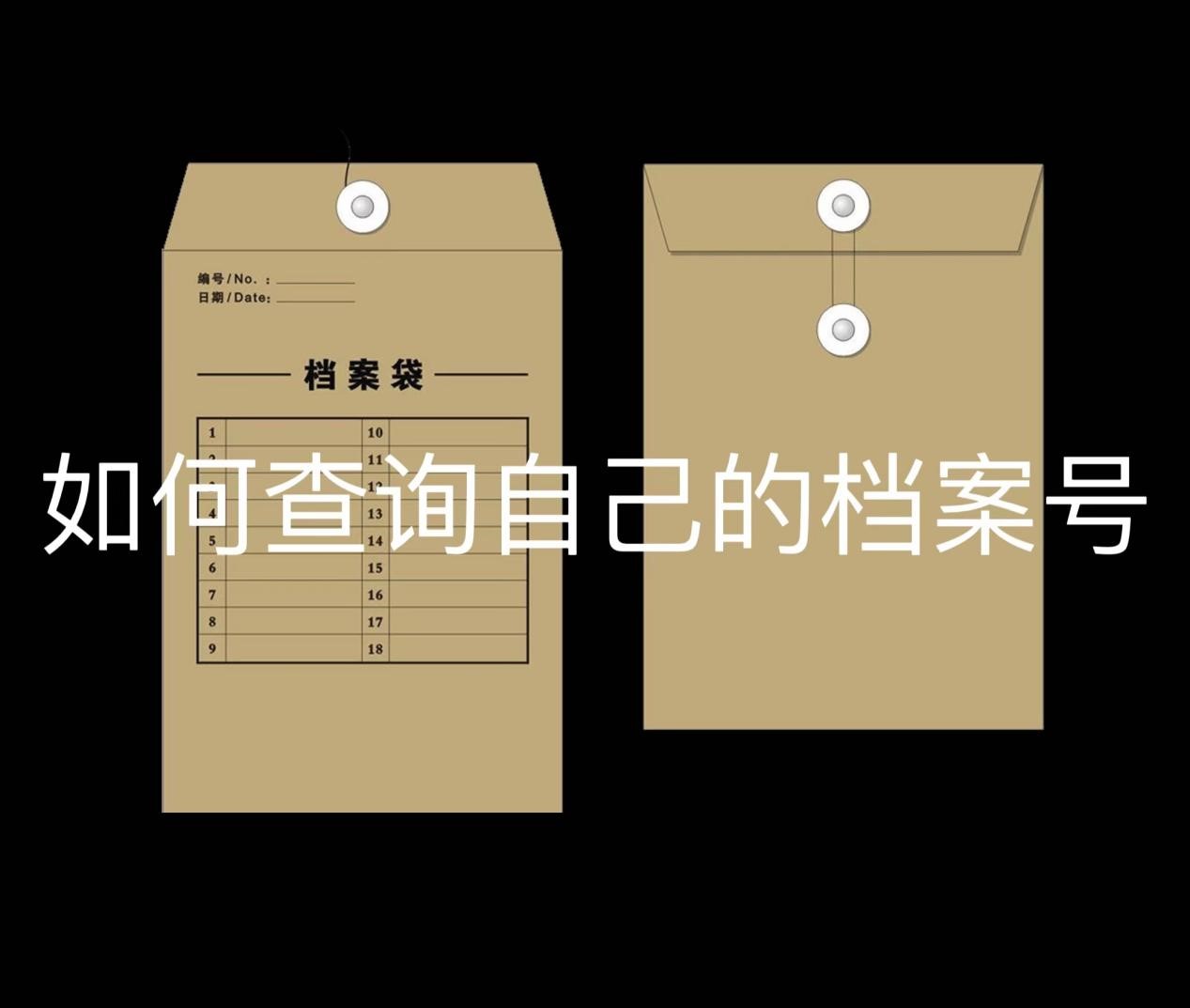 如何查询自己的档案号