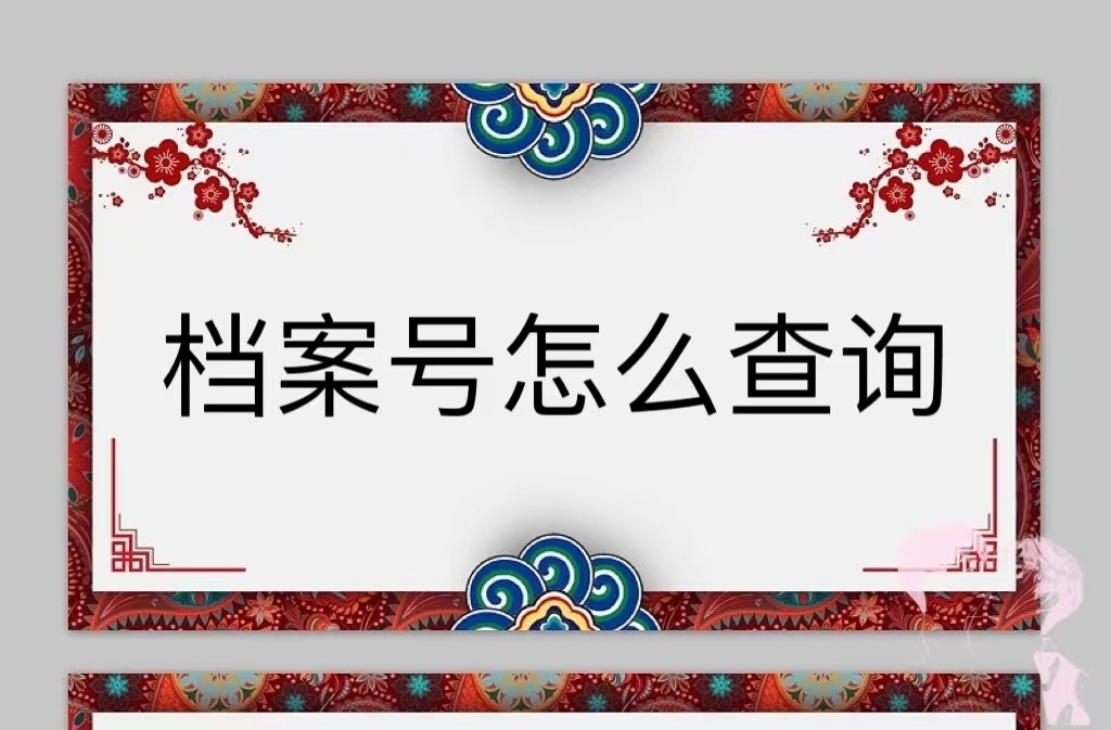 档案号怎么查询