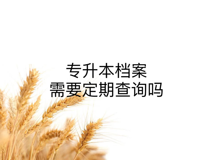 专升本档案需要定期查询吗