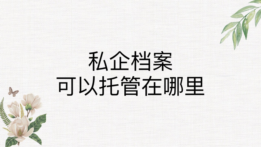 私企档案可以托管在哪里