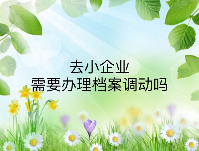 去小企业需要办理档案调动吗