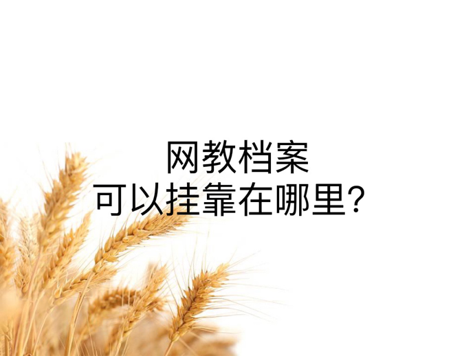 网教档案可以挂靠在哪里？