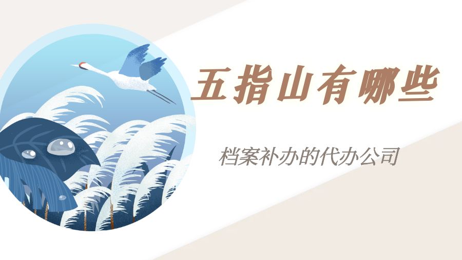 五指山有哪些档案补办的代办公司？