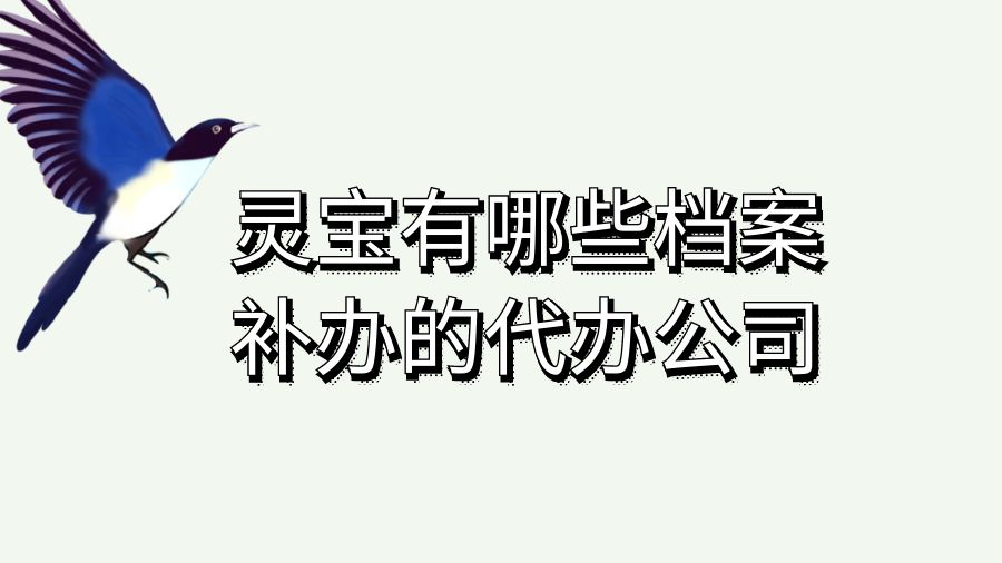 灵宝有哪些档案补办的代办公司？