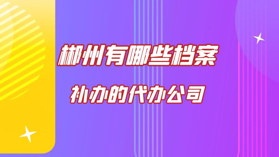郴州有哪些档案补办的代办公司？