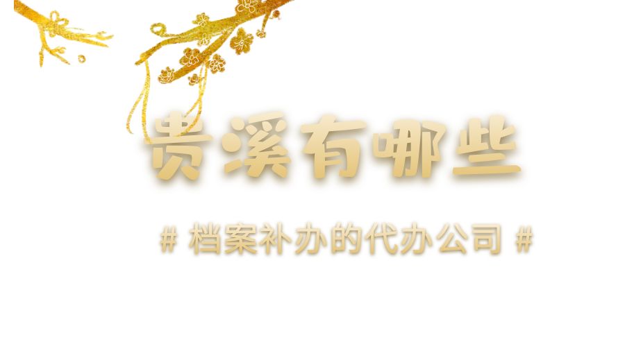 贵溪有哪些档案补办的代办公司？
