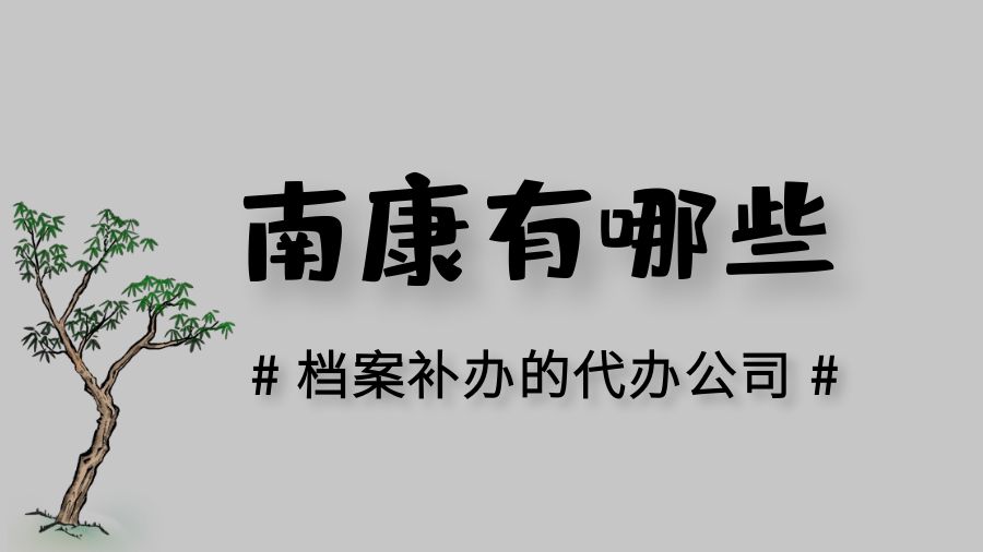 南康有哪些档案补办的代办公司？