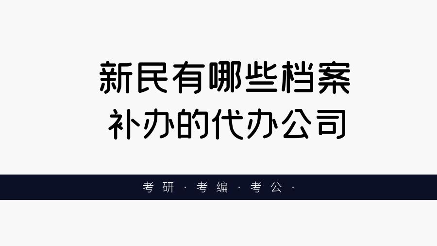 新民有哪些档案补办的代办公司？