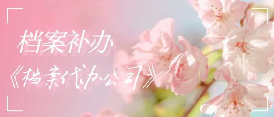 乌兰察布有哪些档案补办的代办公司？