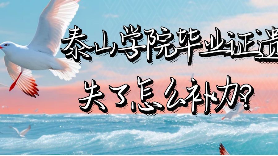 泰山学院毕业证遗失了怎么补办？
