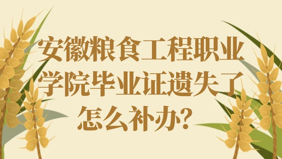 安徽粮食工程职业学院毕业证遗失了怎么补办？